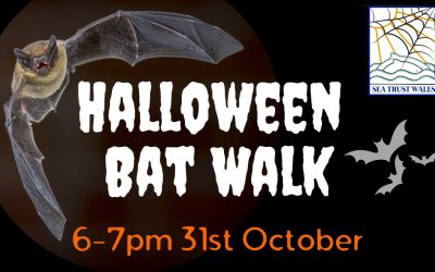 Halloween Bat Walk!