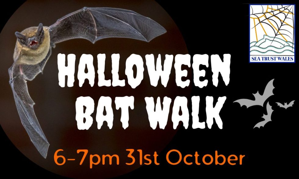 Halloween Bat Walk! Seatrust